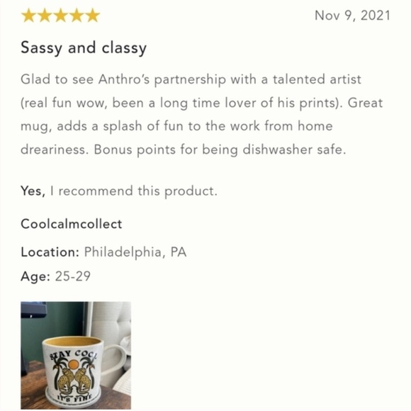 Real Fun, Wow! x Anthropologie Tiger Mug – 16 oz Sold-Out Stoneware Art Piece - Picture 12 of 13